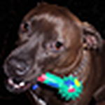Profile Picture of Nyborz (@nyborz) on Flickr
