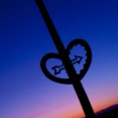 Profile Picture of Jay Gattuso (@NDHA_NZ) on Twitter