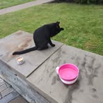 Profile Picture of Richard Peroni (@richard.peroni) on Facebook