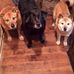 Profile Picture of Peter Steketee (@peter.steketee.507) on Facebook