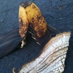 Profile Picture of Ben Pierson (@ben__1pierson1) on Instagram