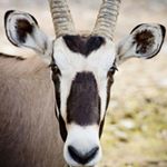 Profile Picture of Robert Spelman (@wastingmytimewisely) on Instagram