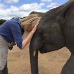 Profile Picture of Susan Appling Johnson (@susieoctober) on Instagram