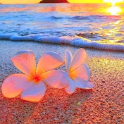 Profile Picture of Brooklyn Roberts (@brooklynroberts7085) on Youtube