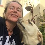 Profile Picture of Rachel Settle-Taylor (@rachelsdogwalking) on Instagram