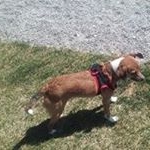 Profile Picture of Kenneth Kilburn (@kilburnkenneth) on Instagram