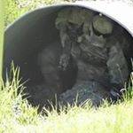 Profile Picture of William Dunaway (@dunawaywilliam) on Instagram