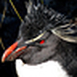 Profile Picture of john fleming (@johnfleming2009) on Flickr