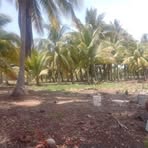 Profile Picture of Carlo Otro (@Carlo-Otro) on Facebook