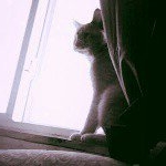 Profile Picture of Mykah Kittson (@misslaray3) on Instagram