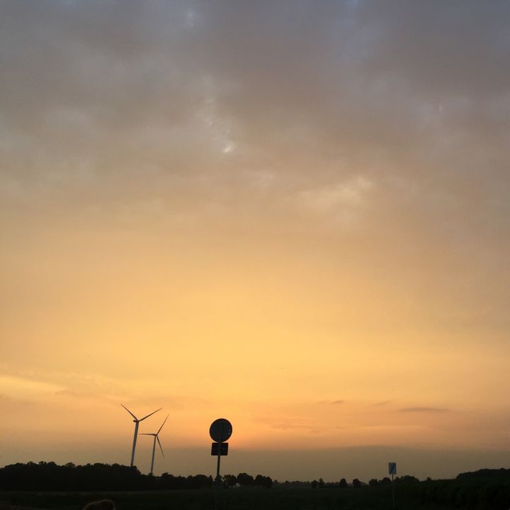 Profile Picture of Danielle Schaak (@danielle_shk_) on Tiktok