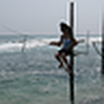 Profile Picture of Kimberly Hicks (@reneekimberly) on Flickr