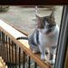 Profile Picture of Kevin Boynton (@kevin55309) on Pinterest