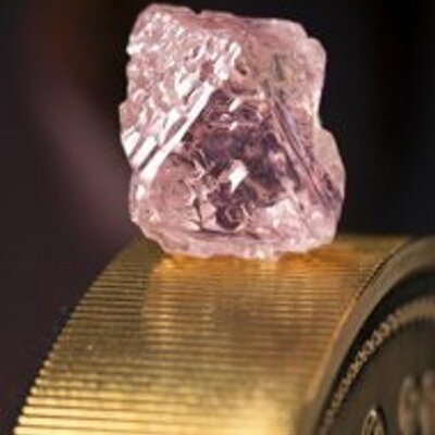 Profile Picture of Dennis Ditmars (@DennisDitmars) on Twitter