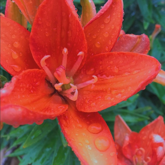 Profile Picture of Paige Cottingim (@paige21joan) on Poshmark