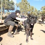 Profile Picture of John Lemon (@lemonjo222) on Instagram