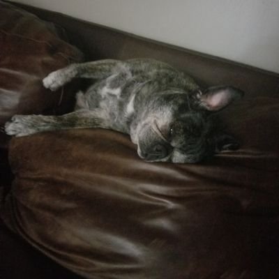 Profile Picture of Joseph Mee (@JosephMee13) on Twitter