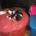 Profile Picture of Tina Fogle (@tina.fogle.1291) on Facebook