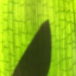 Thomas Eckermann - Instagram Profile Picture of Thomas Eckermann (@tomeckilein) on Instagram