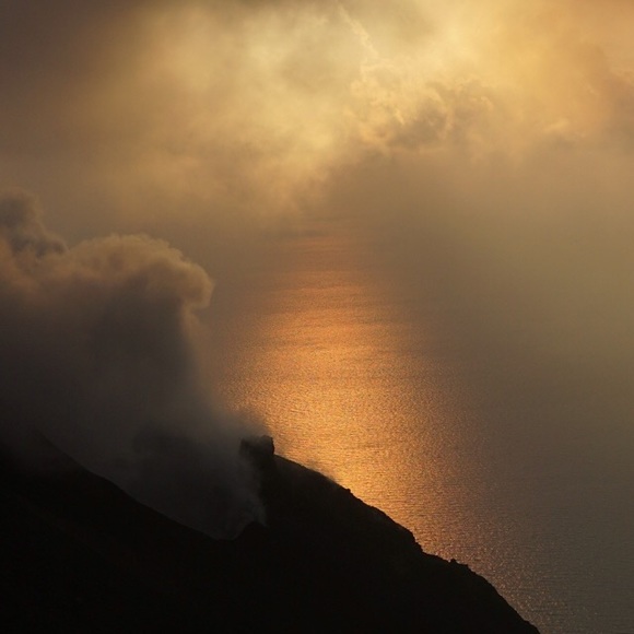 Profile Picture of Joel Cardona (@jcardona17) on Poshmark