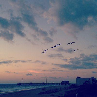 Profile Picture of Charles Thorman (@cthorman98) on Twitter