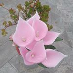 jesenia romero - Instagram Profile Picture of jesenia romero (@jesenia7552) on Instagram