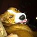 Profile Picture of Shelley Burnside (@shelley.burnside.961) on Facebook