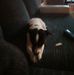 Profile Picture of Jason Müller (@jason.muller.94651774) on Facebook