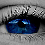 Profile Picture of Vert Mango (@vert mango) on Flickr