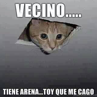 Profile Picture of Alexander Lewandowski (@alexander.lewandowski.908) on Facebook