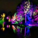 Profile Picture of Thomas (@thomas_bielefeld) on Instagram