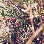 Profile Picture of Audrey Swiderek (@annie_sky_choi) on Instagram