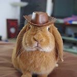 Profile Picture of Seth Low (@sethlowman) on Instagram