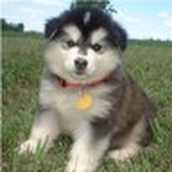 Profile Picture of Laura Binder (@laurabinder508) on Poshmark