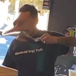 Profile Picture of Jesse D Sustaita (@jezzegermz) on Instagram