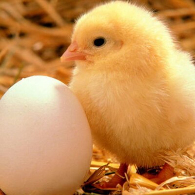 Profile Picture of Sam Wasserman (@SamWasserman1) on Twitter