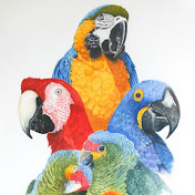 Profile Picture of Oscar Liu (@OscarLiu-re6zj) on Youtube