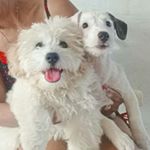 Profile Picture of Bob & Nicole (@bob_nicole_) on Instagram