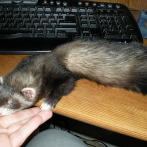 Profile Picture of Trish Barrett (@318835817) on Myspace