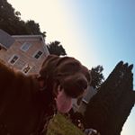 Profile Picture of Kennedi/nini (@kennedi._.lunde007) on Instagram