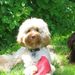 Profile Picture of Susan Lee (@maineleesdl) on Pinterest