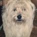 Profile Picture of Maria Rosa Scala (@Maria-Rosa-Scala) on Facebook