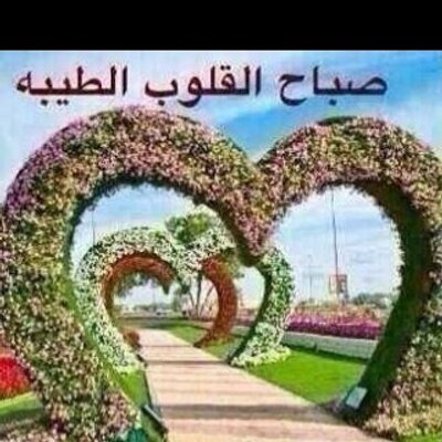 Profile Picture of Ahmed Alkadi (@AlkadiAhmed) on Twitter