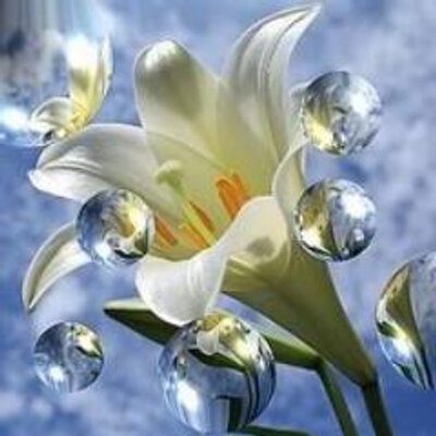 Profile Picture of Ayesha Kanwal (@ayeshakanwal698) on Twitter