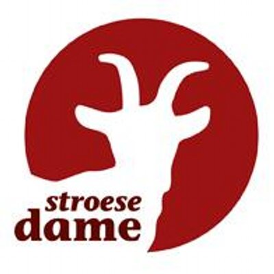 Profile Picture of Magda Scholte (@Stroesedame) on Twitter