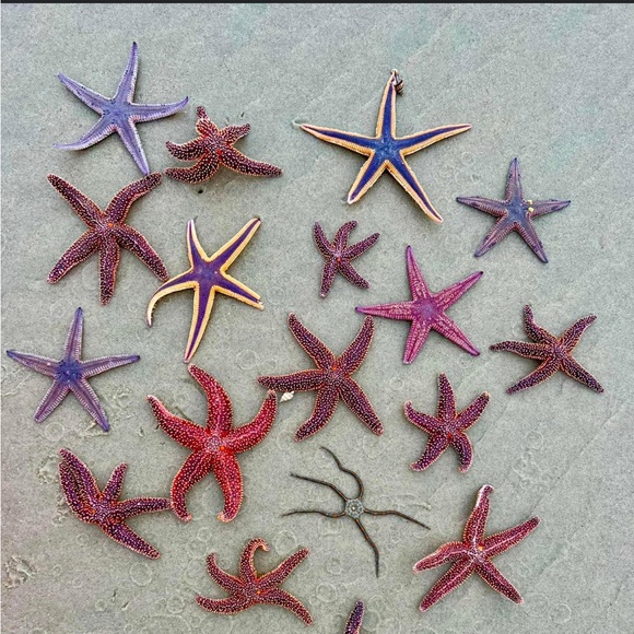 Profile Picture of Emily Craven (@craven1721) on Poshmark