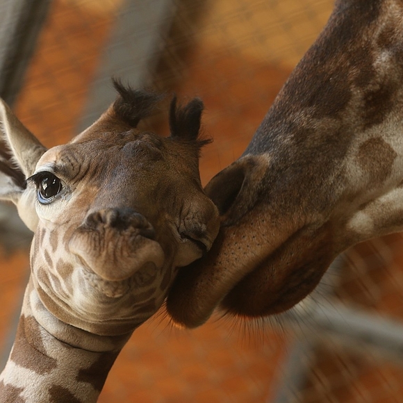 Profile Picture of Phyllis Jordan (@phyllisjorda224) on Poshmark