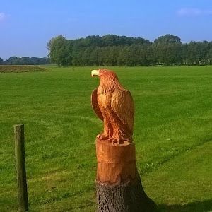 Profile Picture of robertlippers (@robertlippers) on Tiktok