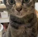 Profile Picture of John Kevin Demasuay Omes (@nohjnivekyausamed.omes) on Facebook