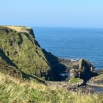 Profile Picture of Martha Reid (@Martha-Reid) on Facebook